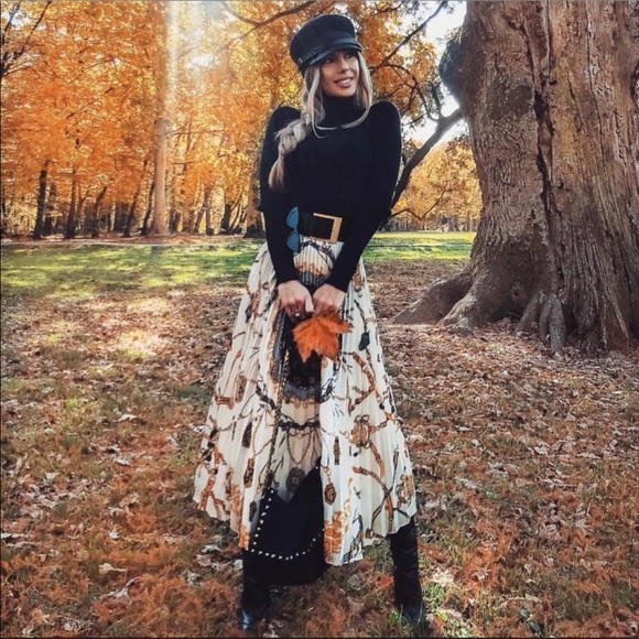 NWT ๐ ZARA ๐ Print Chain Pleated Skirt ๐ Small - Picture 2 of 8